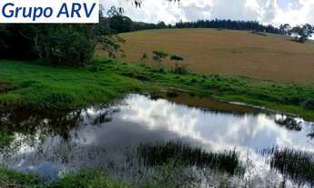 Imagem 2: Sítio com 23 alqueires em Pedra Bela