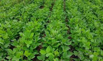 Imagem: Fazenda com 670 Hectares em Minas Gerais