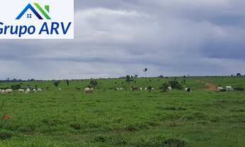 Imagem: Fazenda com 23.512 HA em Rio Branco AC