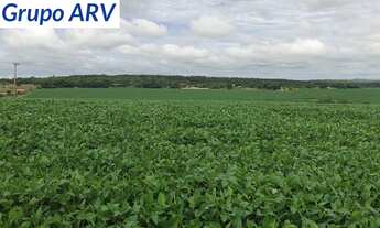 Imagem 3: Fazenda com 145 alqueires em Itapetininga SP