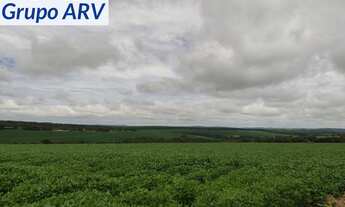 Imagem 7: Fazenda com 145 alqueires em Itapetininga SP