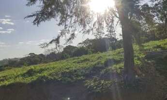 Imagem 4: Sítio com 3 alqueires em Socorro