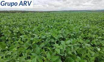 Imagem 6: Fazenda com 145 alqueires em Itapetininga SP