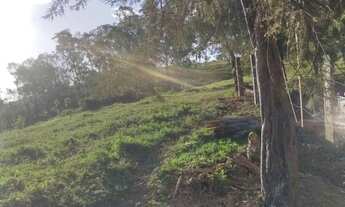 Imagem 7: Sítio com 3 alqueires em Socorro