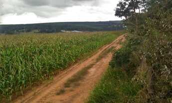 Imagem 2: Fazenda com 145 alqueires em Itapetininga SP
