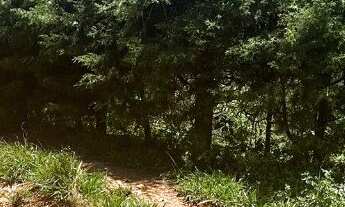 Imagem 4: Terreno com 438 m² em Pedra Bela