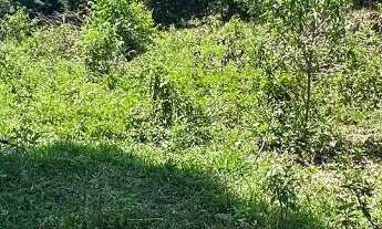 Imagem 5: Terreno com 438 m² em Pedra Bela