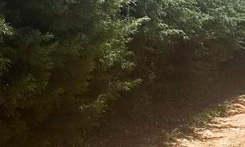 Imagem 7: Terreno com 438 m² em Pedra Bela