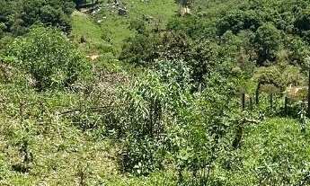 Imagem 3: Terreno com 438 m² em Pedra Bela