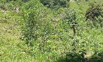 Imagem 6: Terreno com 438 m² em Pedra Bela