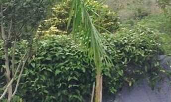 Imagem 5: Casa com 5 suítes para locação em condomínio em Atibaia