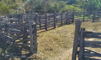 Imagem 3: FAZENDA RURAL em CANA BRAVA - TO, Centro