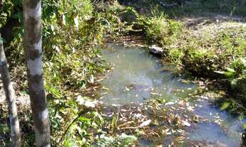 Imagem 7: FAZENDA RURAL em CANA BRAVA - TO, Centro