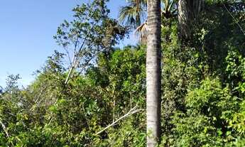 Imagem 4: FAZENDA RURAL em CANA BRAVA - TO, Centro