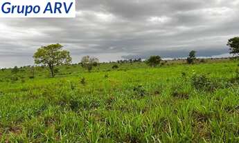 Imagem: FAZENDA RURAL em SONORA - MS, Centro