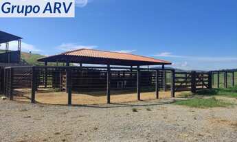 Imagem: SITIO RURAL em monte alegre - SP, Mostarda