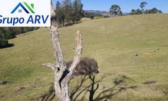 Imagem 2: SITIO RURAL em BUENO BRANDÃO - MG, Cafundo