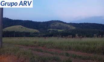 Imagem 7: TERRENO RESIDENCIAL em Bom Jesus dos Perdões - SP, Guaxinduva