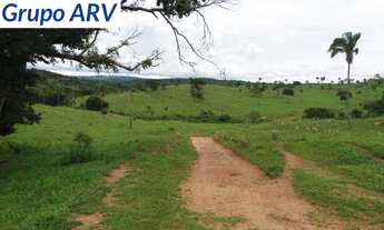 Imagem 4: FAZENDA RURAL em Araguari - MG, Centro