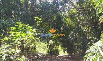 Imagem 5: Linda Chácara no Jardim Ingá, com casa três quartos sendo uma suíte