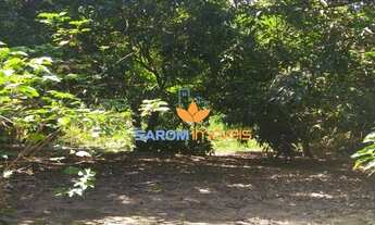 Imagem 4: Linda Chácara no Jardim Ingá, com casa três quartos sendo uma suíte