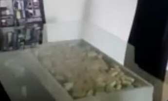 Imagem 2: APARTAMENTO RESIDENCIAL em SÃO PAULO - SP, BRÁS