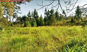 Imagem: Vendo/ Troco Chácara de 10.000 m²