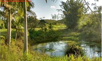 Imagem 2: Vendo/ Troco Chácara de 10.000 m²