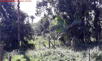 Imagem 5: Vendo Terreno de 145.439,30 m² em Itapoá -SC