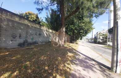 Imagem 7: OPORTUNIDADE !!! 3 TERRENOS COM 9.900 M² QUE PODEM SER VENDIDOS JUNTOS OU SEPARADDOS , CO