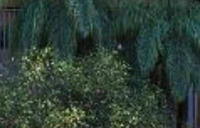 Imagem 2: APARTAMENTO RESIDENCIAL em São Paulo - SP, Brooklin Paulista