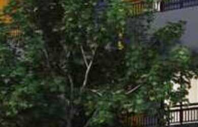 Imagem 2: APARTAMENTO RESIDENCIAL em São Paulo - SP, Belenzinho