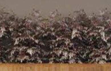 Imagem 6: STUDIO RESIDENCIAL em São Paulo - SP, Vila Prudente