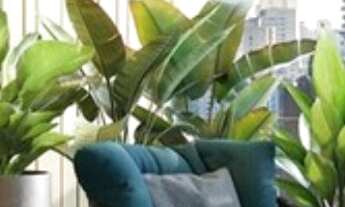 Imagem: Apartamento de 4 dormitórios, com 355 m²