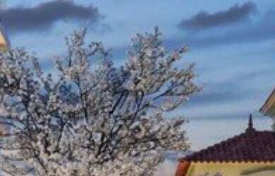 Imagem 4: Apartamento de 1 dormitório, 44 m², à venda em Perdizes na imobiliária Buenos Jr Imóveis