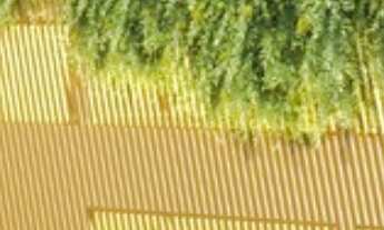 Imagem 4: Apartamento à venda em São Paulo-SP, Jardim Vila Mariana: 2 quartos, 1 suíte, 2 salas, 2 b