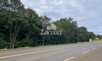 Imagem 4: Chácara as Margens da PR 466!