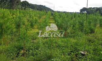 Imagem: LACASA VENDE LINDA CHACARA PRÓXIMO AO DESTRITO