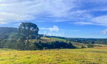 Imagem 6: Excelente fazenda no Guairacá!