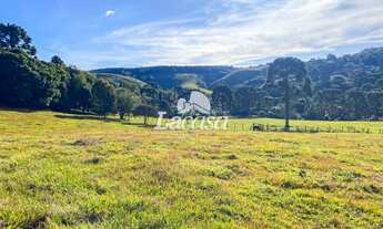 Imagem: Excelente fazenda no Guairacá!