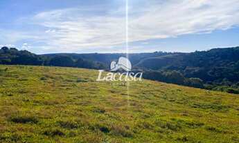 Imagem 4: Excelente fazenda no Guairacá!