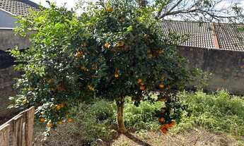 Imagem 2: VENDE-SE TERRENO COM CASA DE PRÉ MOLDADO NO ALTO DA XV