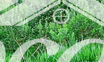 Imagem 5: OPORTUNIDADE! De: R$ 370.000,00