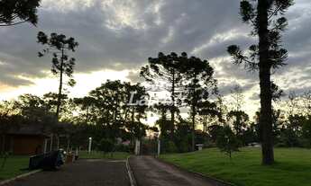 Imagem 4: Chácara de Alto Padrão em Palmital-PR Conforto e Lazer Próximo ao Perímetro Urbano! Aceita