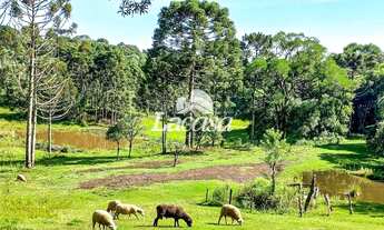 Imagem: Imobiliária La Casa vende Excelente chácara