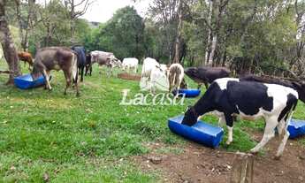 Imagem 6: Imobiliária La Casa vende: Excelente chácara próxima à Palmeirinha