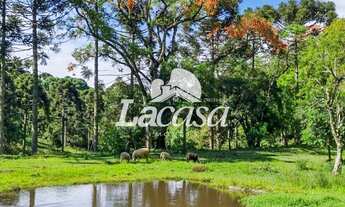 Imagem 2: Imobiliária La Casa vende: Excelente chácara próxima à Palmeirinha