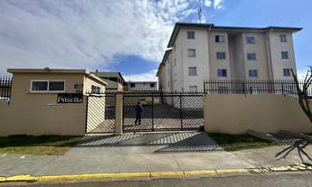 Imagem 4: LA CASA VENDE APARTAMENTO NO JARDIM PATRICIA