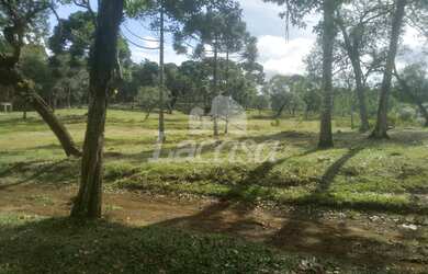 Imagem 3: CHÁCARA À VENDA ? EXCELENTE OPORTUNIDADE NA REGIÃO DA PALMEIRINHA!