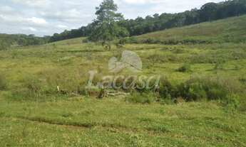 Imagem 4: CHÁCARA À VENDA ? EXCELENTE OPORTUNIDADE NA REGIÃO DA PALMEIRINHA!